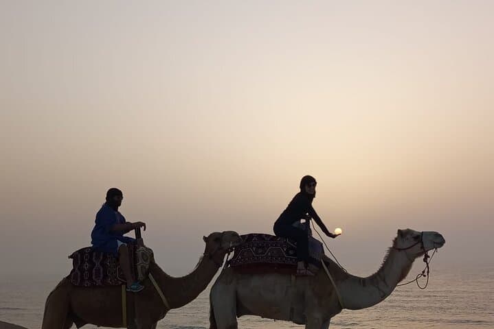 جولة على الجمل